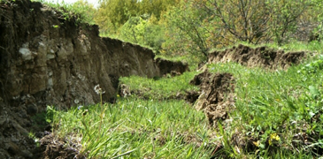 pixlr_20170511103221612