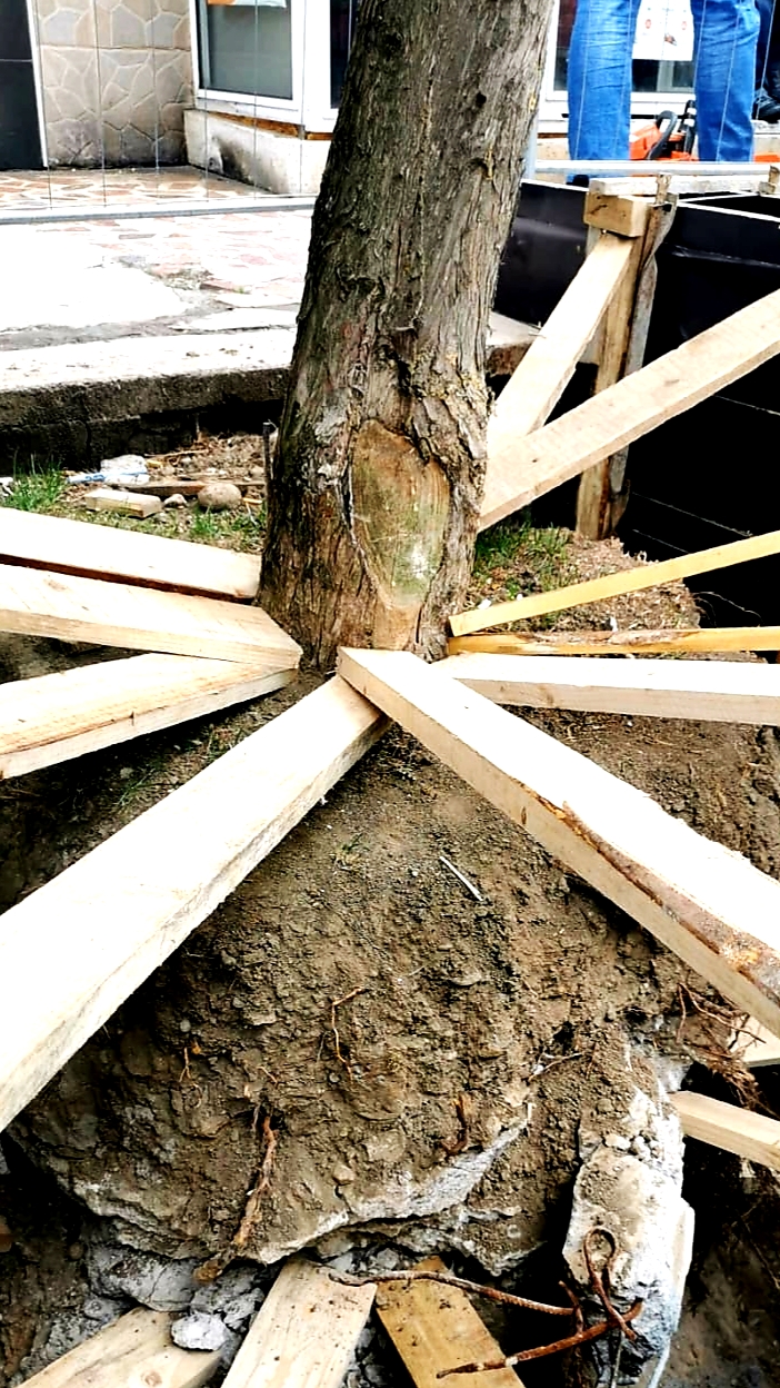 WhatsApp Image 2020-05-14 at 12.58.27