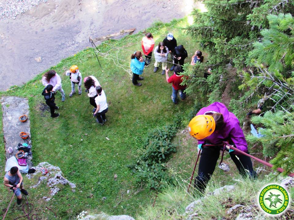 IMG-20210719-WA0002