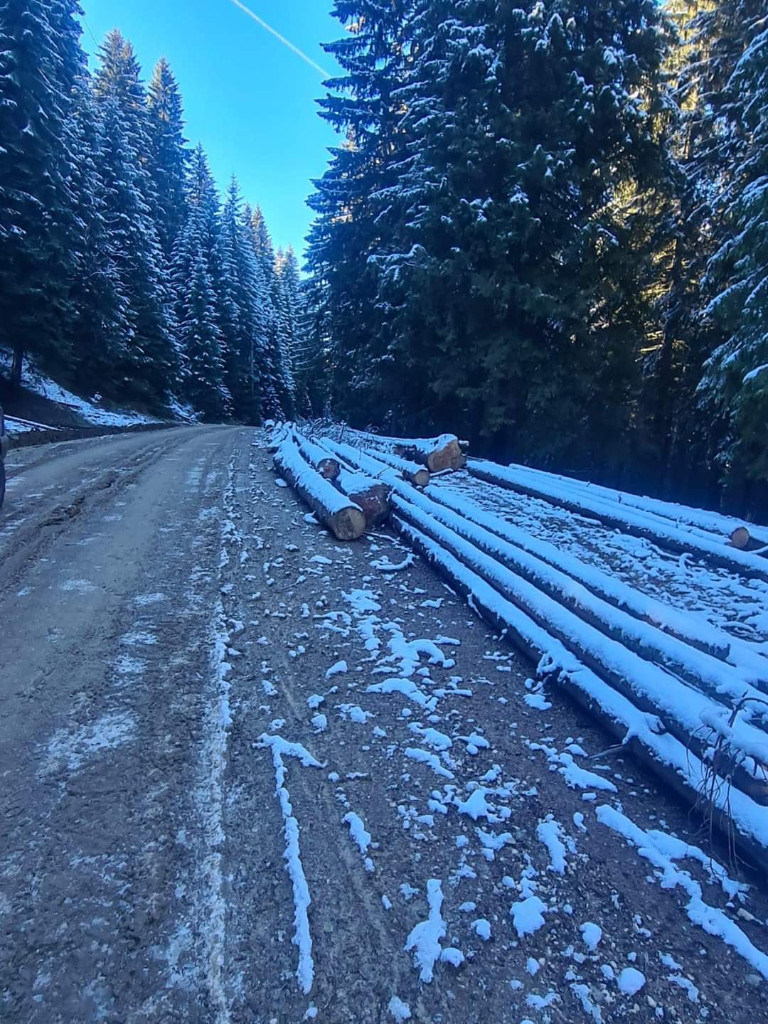 IMG-20211112-WA0010